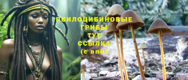 ALPHA-PVP Верея